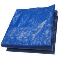 Master Tradesman 20 By 30 Foot Blue Tarp Cover 702266A by Hangzhou Ruiyu Industrial Best Price