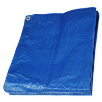 Master Tradesman 15 By 30 Foot Blue Tarp Cover 250282A by Hangzhou Ruiyu Industrial Best Price