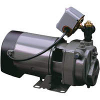1 Hp Cast Iron Converitible Deep Well JHU10 by Flint and Walling Star Water Best Price