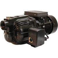 1/2 Hp Shall Well Pump SJ05S by Flint and Walling Star Water Best Price