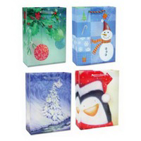 Large Vellum Bag Assorted 8700164 by Cleo Wrap Best Price
