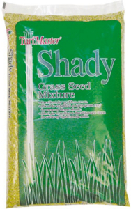 50 Pounds Shady Grass Seed Mix 2805417 by Lebanon Seaboard Best Price