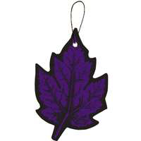 Auto Expressions Wildberries Air Freshner NOR49-3P4 by Sopus Products Best Price