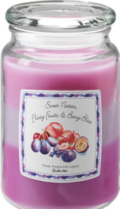 22 Ounce 3 Layer Nectar Jar 1481807 by Candle Lite Best Price