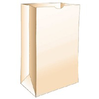 100 Count Lunch Bag LB12CAJ by AW Mendenhall Best Price