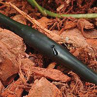 1/4 Inch Emitter Tubing 50 Foot ET25512-50 by Rainbird Best Price