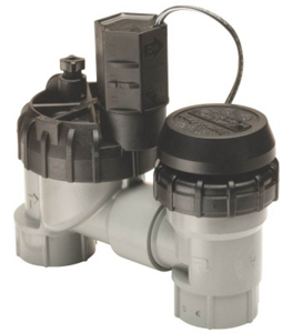 3/4 Inches Anti-Siphon Jar Top Valve JTV / AS-075 by Rainbird Best Price