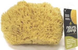 Sea Wool Sponge 7 Inch By 8 Inch Number 1 Cut SW #1-7080C by Acme Sponge and Chamois Best Price