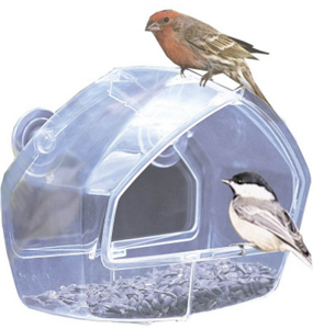 1 Cup Window Bird Feeder 348 by Woodstream Best Price