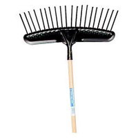 Promotional 20 Tine Promo Lawn/Leaf Rake 1937700/64017 by Ames True Temper Best Price