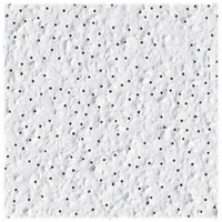 2X4 Tabaret Ceil Tile 210 A by USG Interiors Best Price