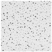 2 By 4 Radar Ceiling Tile R2310 by USG Interiors Best Price