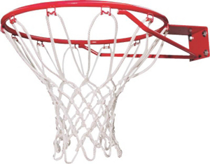 Backboard Goal 5818 by Lifetime Products Best Price