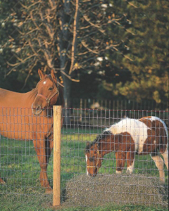 Square Deal 12 1/2 Ga2 By 4 By 48 Inch 100 Foot Horse Fence 70310 by Keystone Steel and Wire Best Price