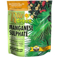 4 Pounds Manganese Enhancer 150091 by Sunniland Best Price