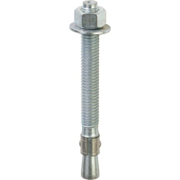 Red Head Wedge Anchor 3/8 By 3 3/4 50 Pack 11270 by Red Head