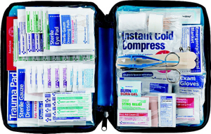 Allpurp 1St Aid Kit Lg Soft Cs FAO-442 by First Aid Only Best Price
