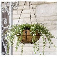 14 Inch Black Round Hang Basket 88512 by Panacea Products Best Price