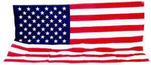 Sentinel 3 By 5 Foot American Flag Polycotton USS-1 by Valley Forge Flag Best Price