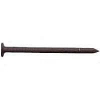 Stormguard 3D Brown Trim Nail 1 Pound  R112M22 by Maze Nails