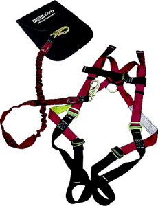 Aerial Lift Kit S L 10077723 by MSA Safety Works Best Price