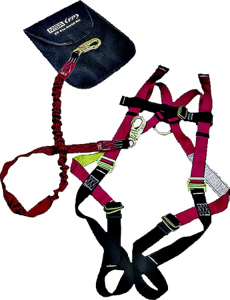 Aerial Lift Kit L Xl 10077724 by MSA Safety Works Best Price