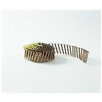 1 1/2 Inch Coil Nail CR-112 by American Fastening Systems Best Price