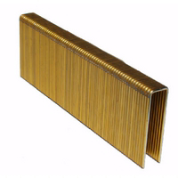1 3/4 Inch 16 Gauge Staples PM-134 by American Fastening Systems Best Price