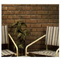 2 1/4 By 8 By 7/16 Inch Wheat Decorative Brick ZC018205 by Zygrove Z Brick Best Price