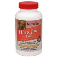 75Pk Hip and Joint Plus 24743-3 by Nutri Vet Best Price