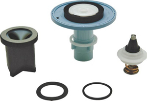 1.6 Gallon Flush Valve Rebuild Kit P6000-ECR-WS1-RK by Zurn Pex Best Price
