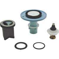 3 1/2 Gallon Flush Valve Rebuild Kit P6000-ECR-WS-RK by Zurn Pex