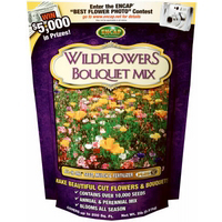 200Sqft Flwr Mulch Seed 10809-6 by Encap Best Price