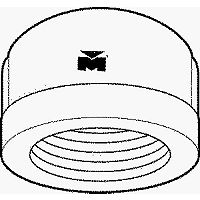 1 1/2 Inch Galvanized Pipe Cap 8700132858 by Anvil International Best Price