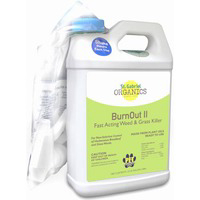 64 Ounces Ready To Use Burnout Ii 40027-9 by St Gabriel Laboratories Best Price