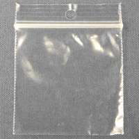 2X3 Plastic Bag With Hang Hole Pack of 100 1177 by Centurion Best Price