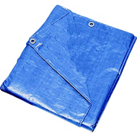 6X8 Light Duty Blue Tarp BL68 by Mintcraft