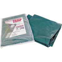 6X8 Hvy Duty Green/Silver Tarp HD68 by Mintcraft