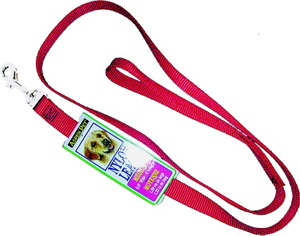 4 Foot By 5/8 Inch Nylon Red Leash 15006 by Aspen Pet Best Price