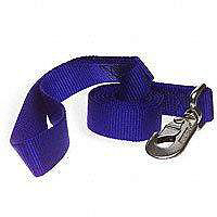 Lead Nylon 1 Inch By 4 Foot Single Blue 20008 by Aspen Pet