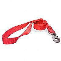 Lead Nylon 1 Inch By 6 Foot Single Red 20046 by Aspen Pet