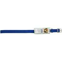 22 X 1In Nylon Collar Royal 20428 by Aspen Pet Best Price