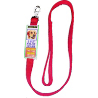 Lead Nylon Double 1 Inch By 6 Foot Red 21086 by Aspen Pet