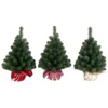 2 Foot Noble Art Spruce Tree NBA3-20G/B by National Tree
