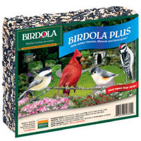 2 Pounds Plus Refill Cake 54324 by Birdola Products Best Price