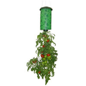 Topsyturvy Tomato Plant TT011112 by Allstar Products Group Best Price