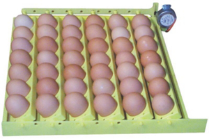 Egg Turner 1611 by GQF Manufacturing Best Price