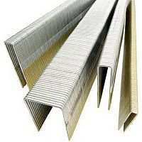 10000 Pack 2 Inch Galvanized Staples 7/16 Inch N21BAB by Senco Fastening Systems Best Price