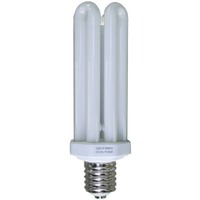 65 Watt Fluorescent Replacement Bulb 9166B by Lights Of America Best Price