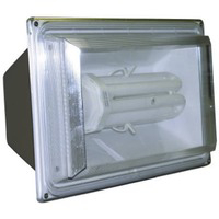 65 Watt Fluorex Replacement Bulb 9266 by Lights Of America Best Price